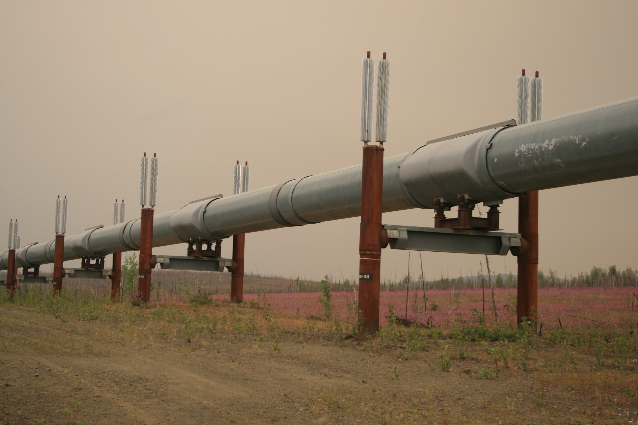 Alaska Pipeline