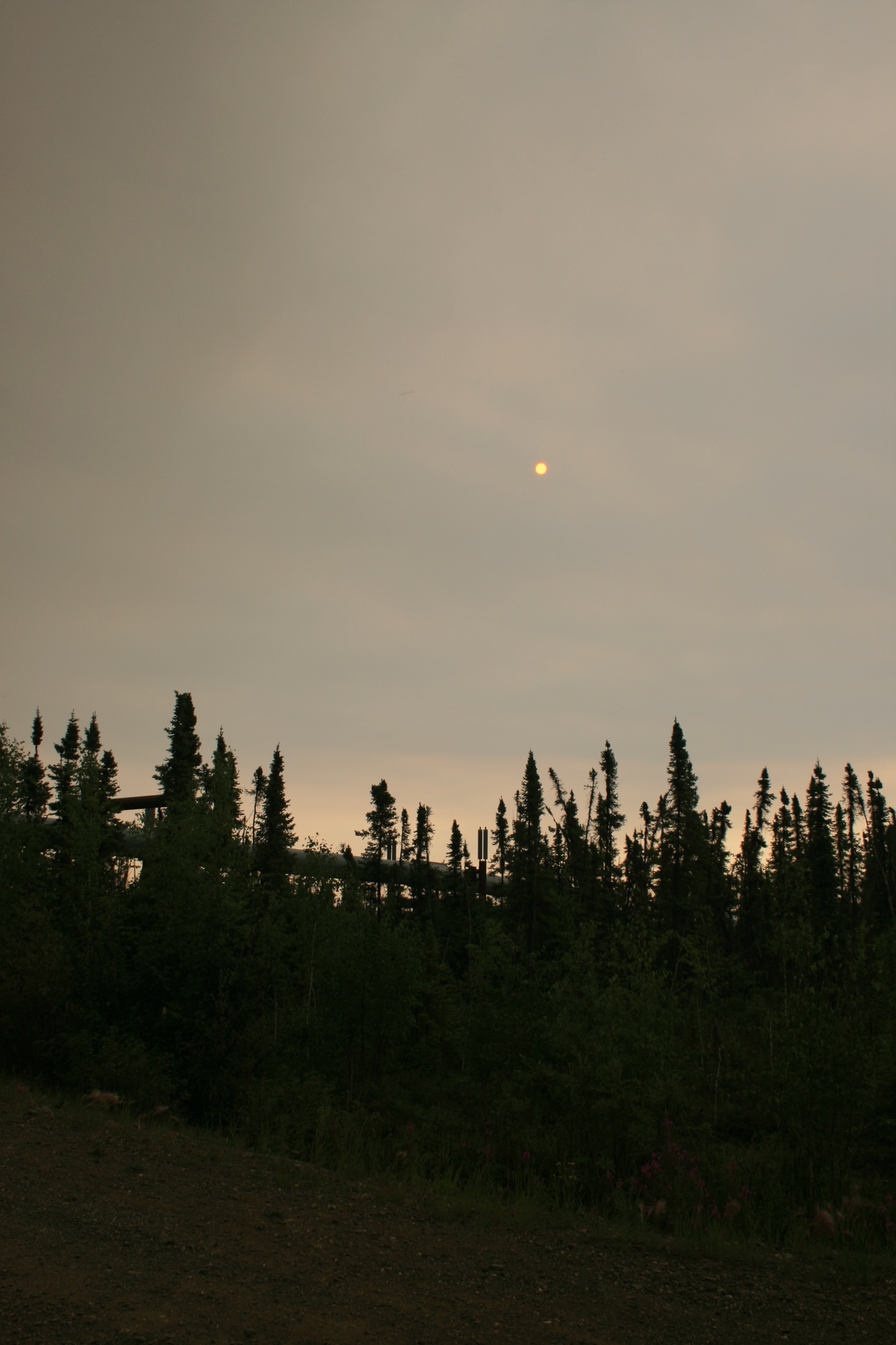 Sun Through Smoke