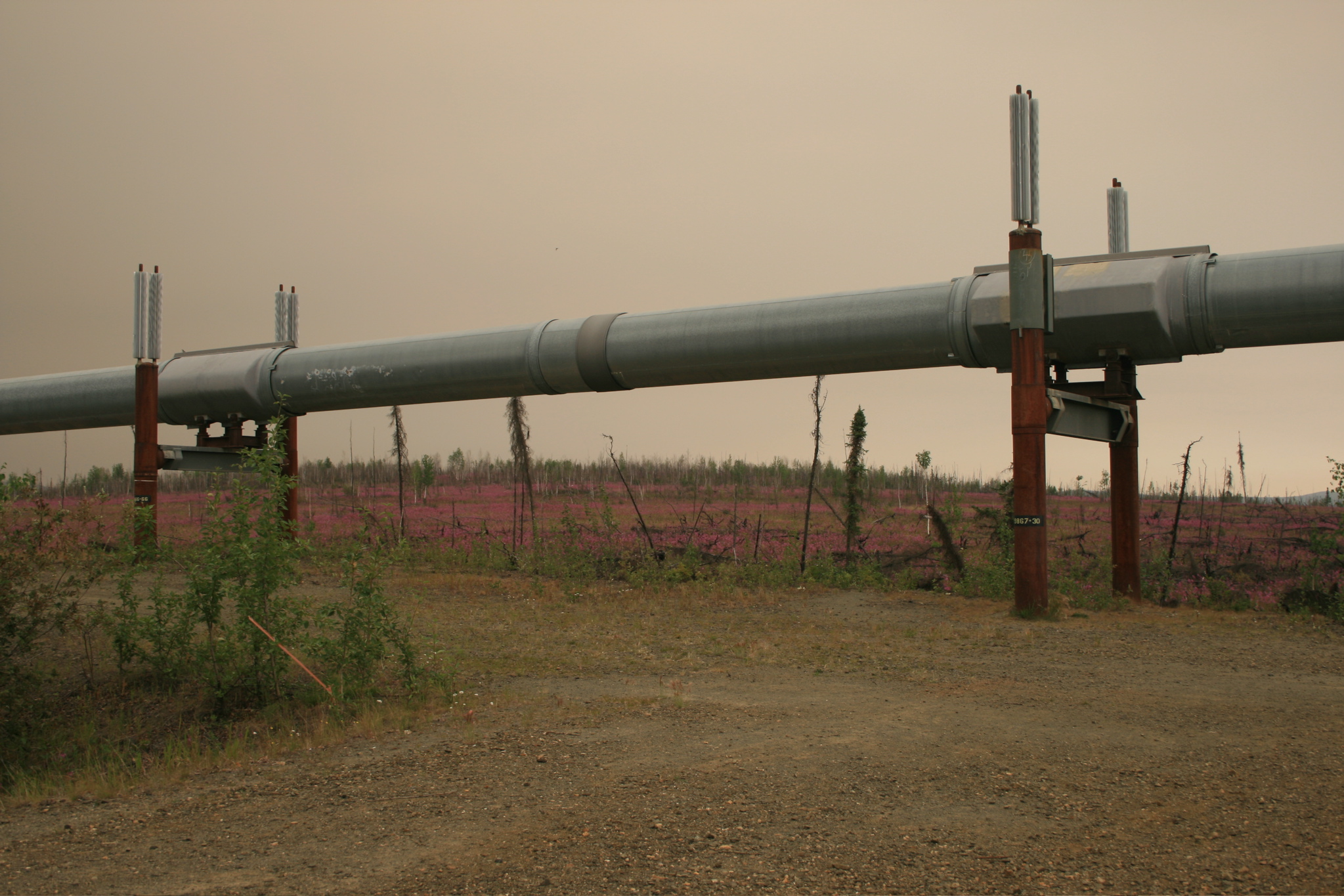 Alaska Pipeline