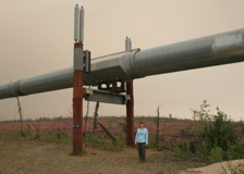 Lisa and the Alaska Pipeline