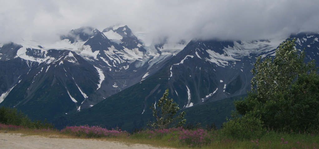 Glacier Fields