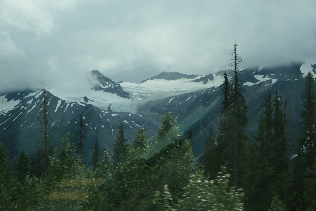 Glacier Field