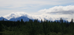 View from Alaska Highway