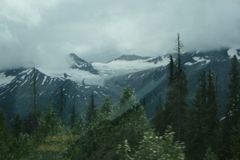 Glacier Field