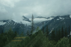 Glacier Field