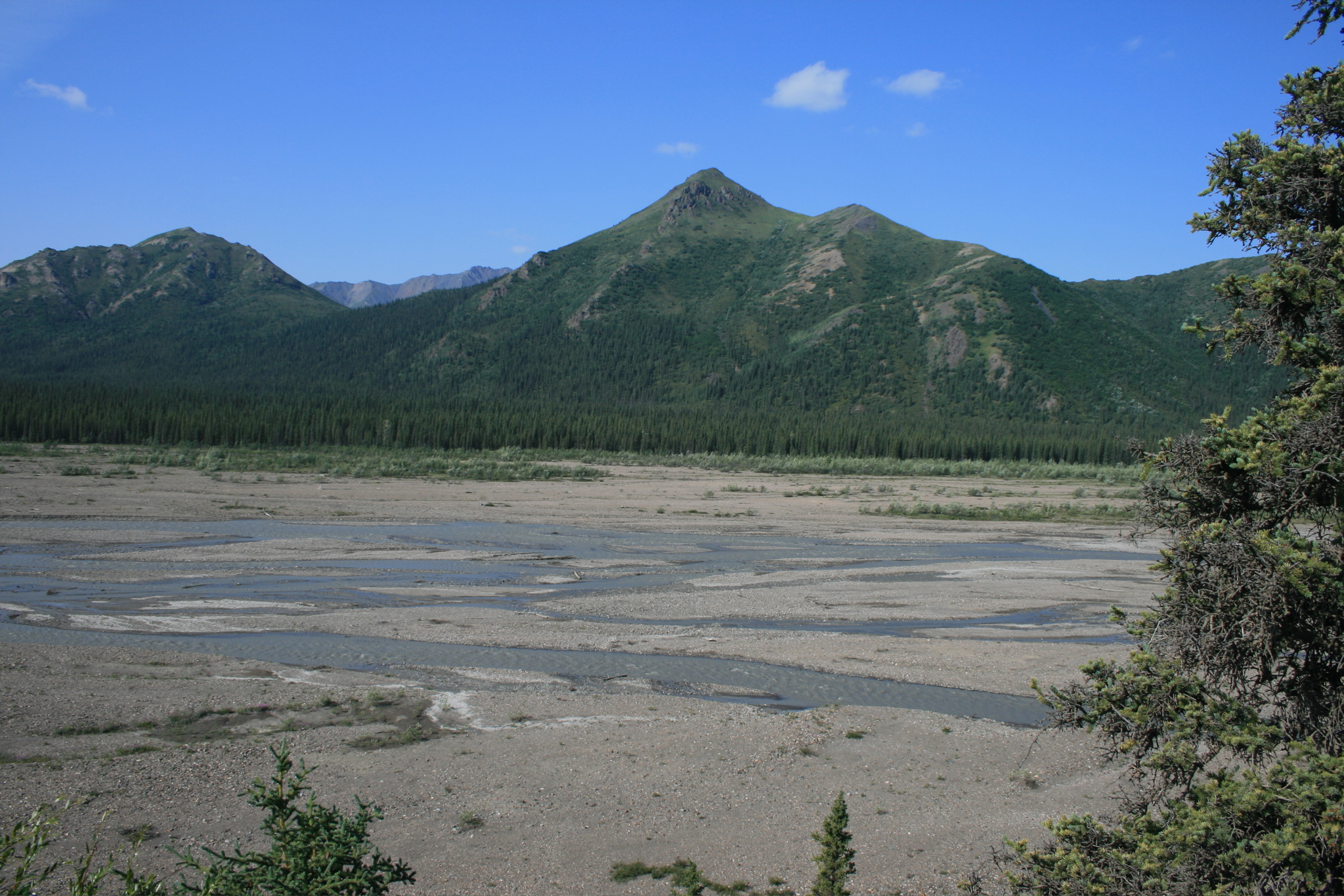 Teklanika River?