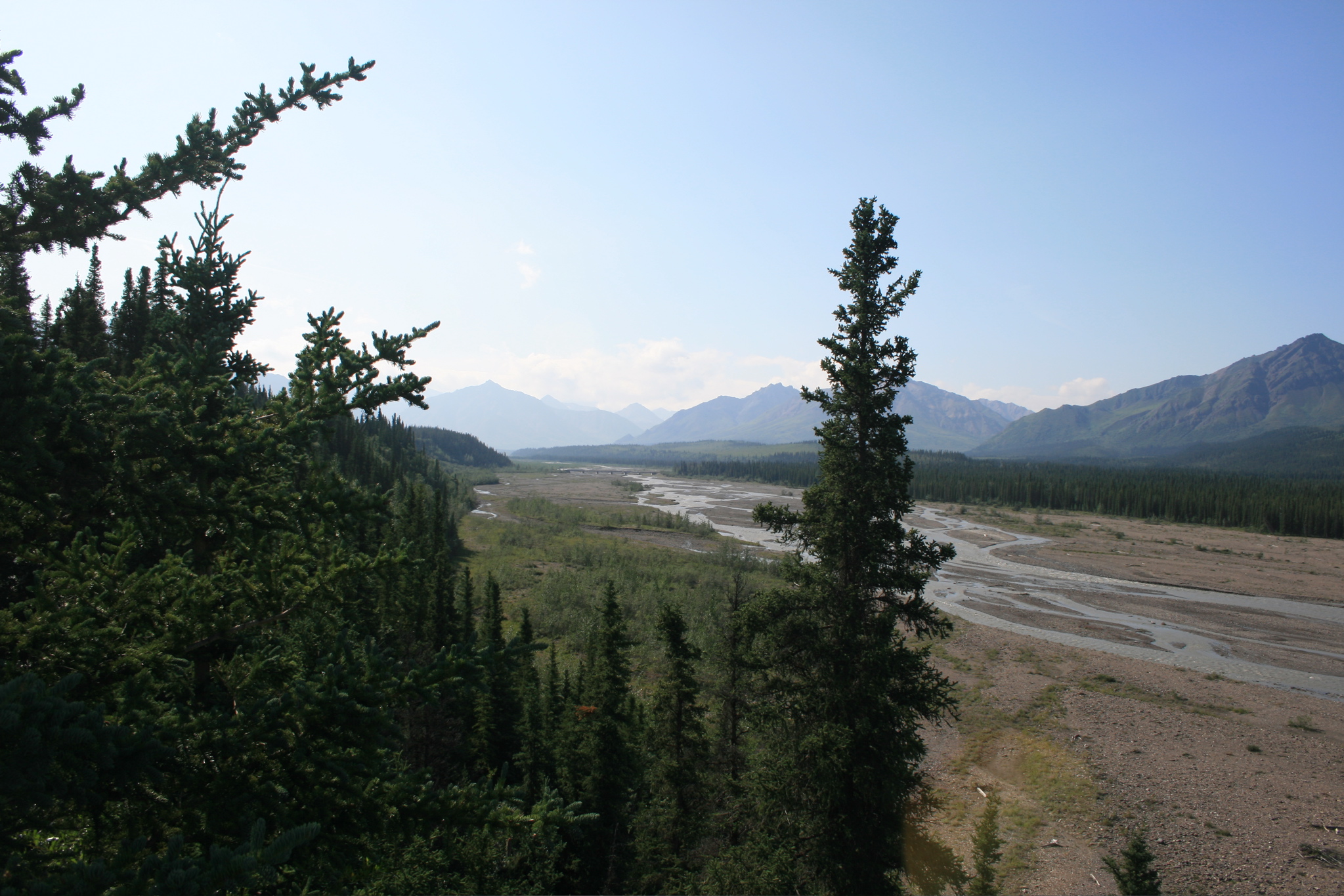 Teklanika River