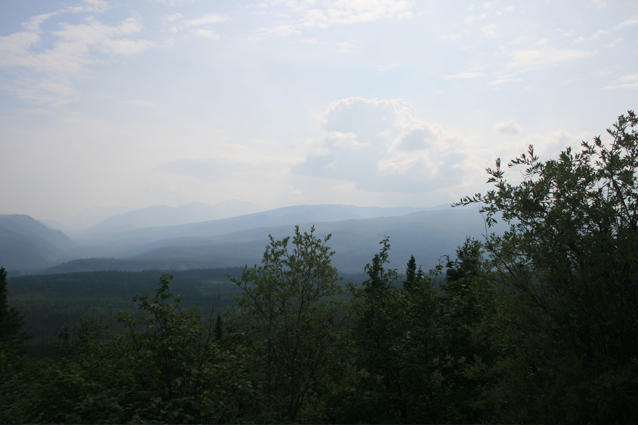 Mount Healy Trail