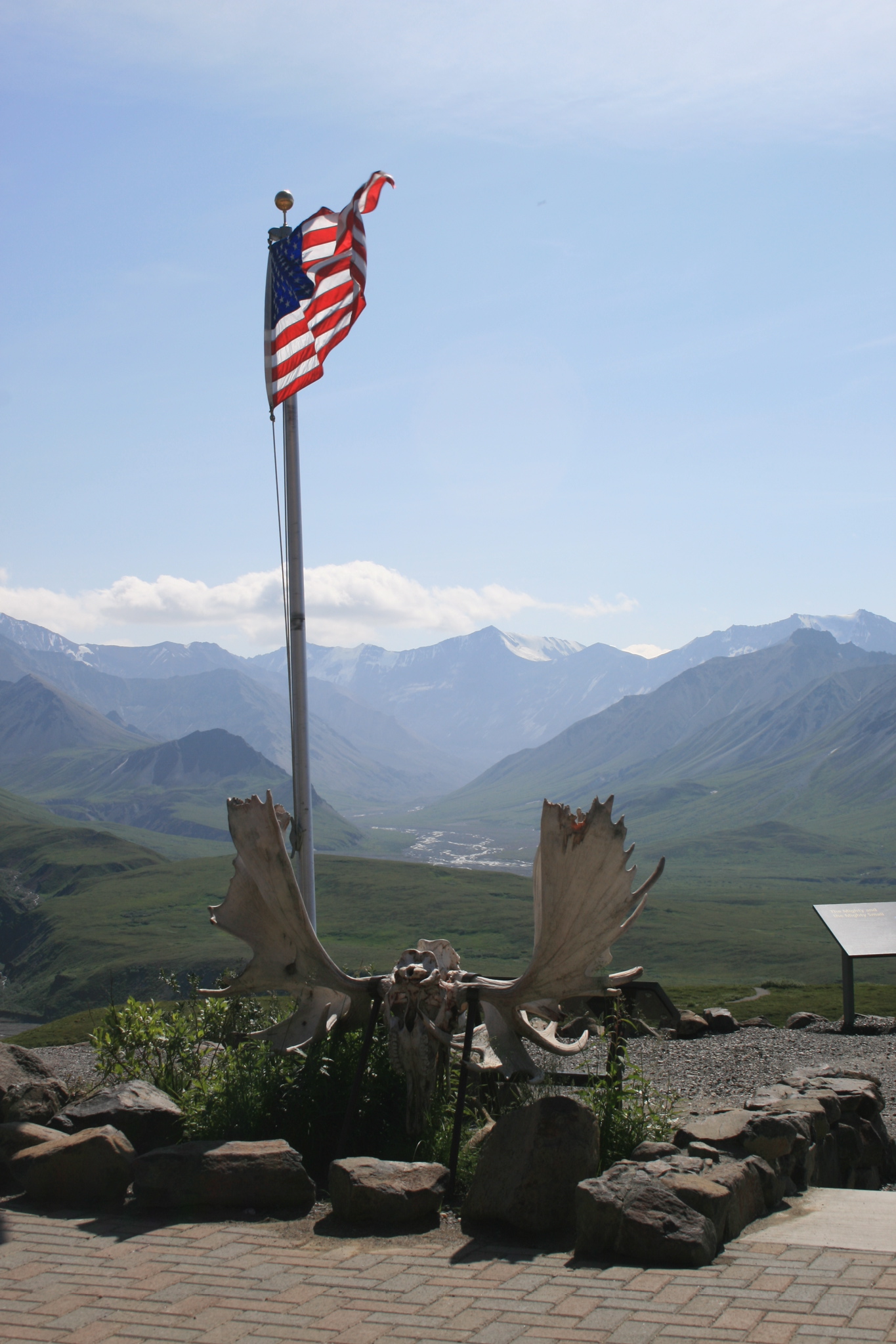 Moose Antlers at Eielson