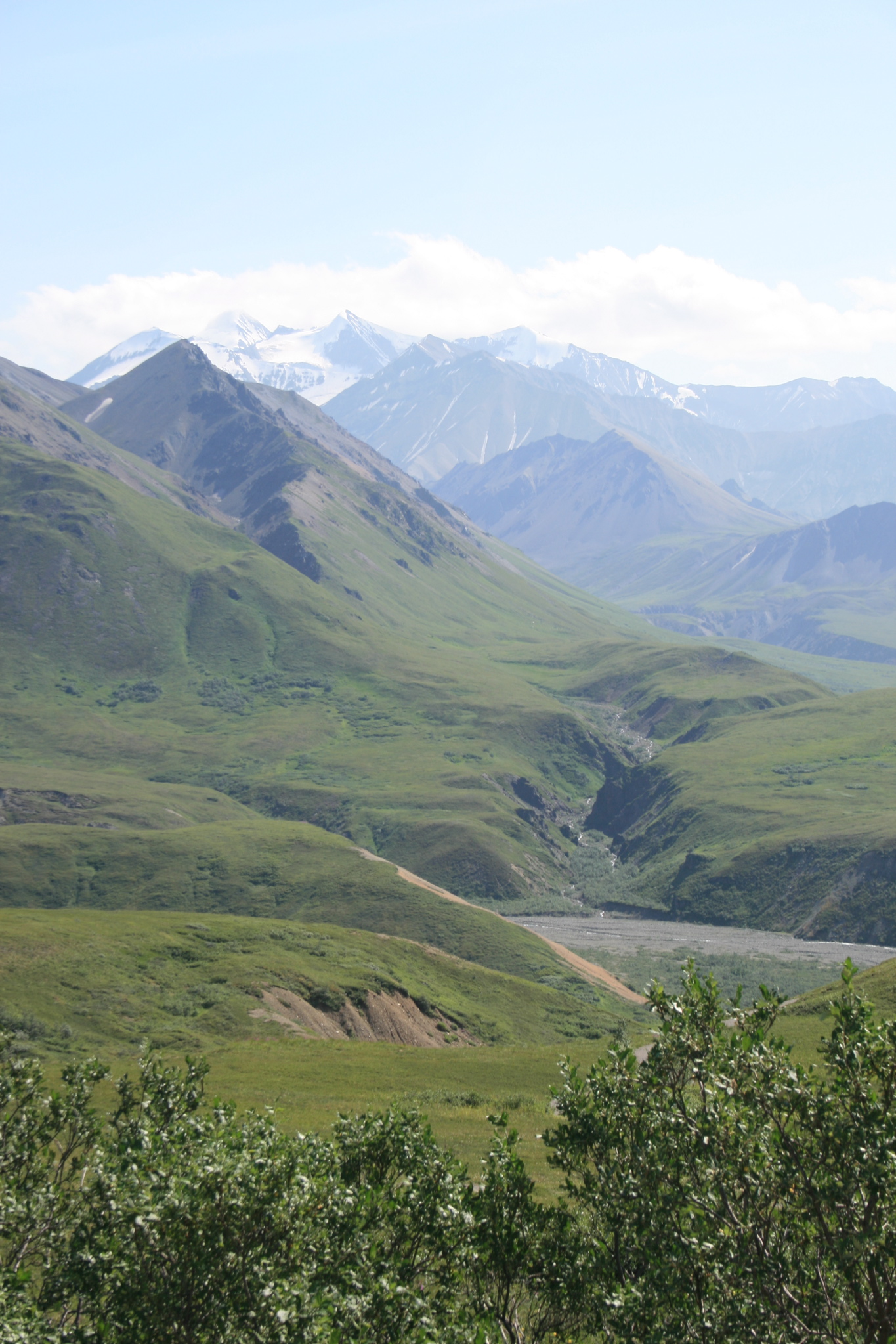 View from Eielson Visitor Center