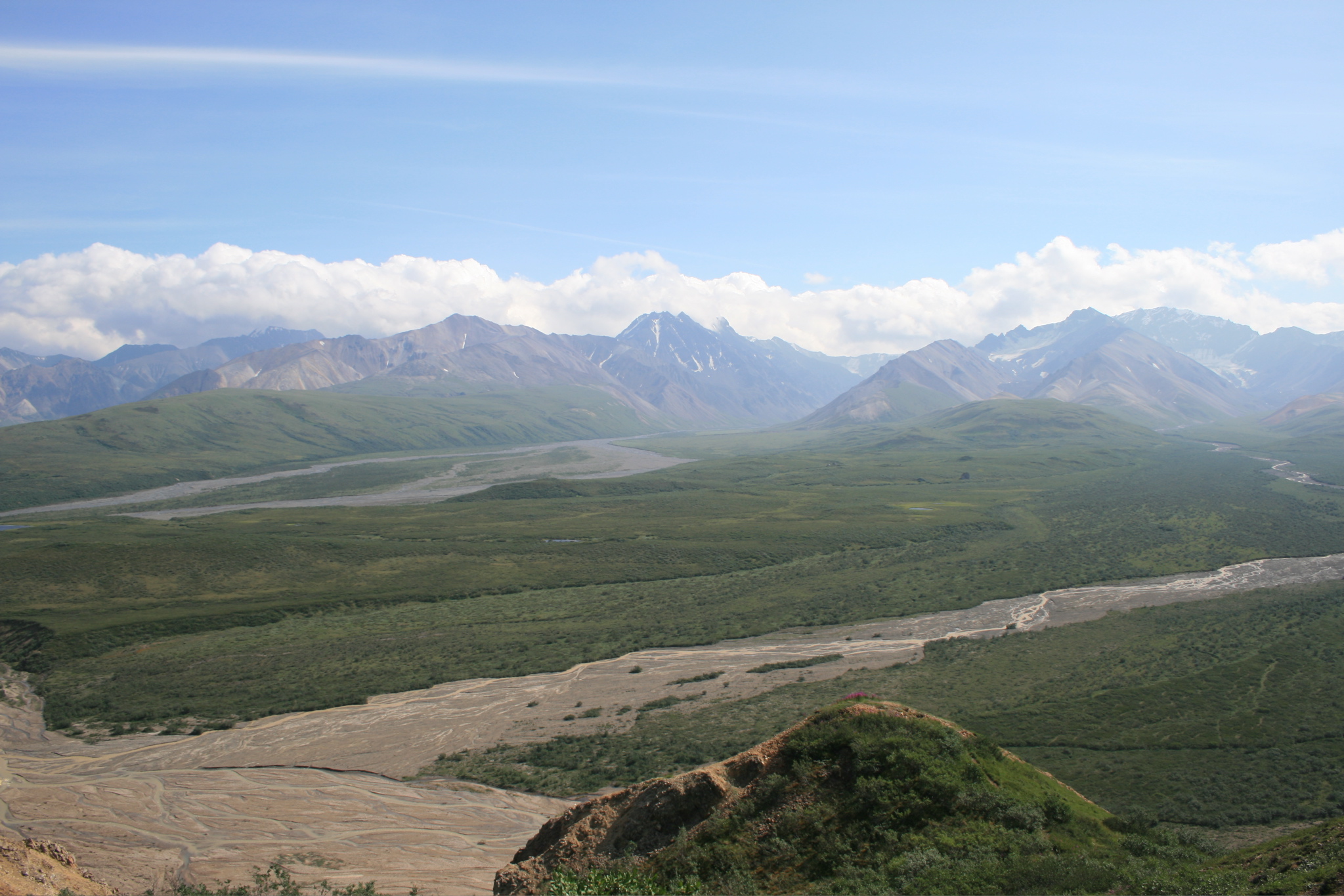 Polychrome Overlook