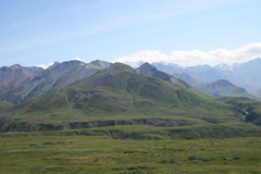 View from Eielson Visitor Center