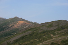 Top of Mount Healy