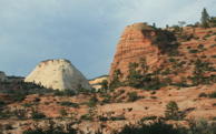 Along Main Highway In Zion