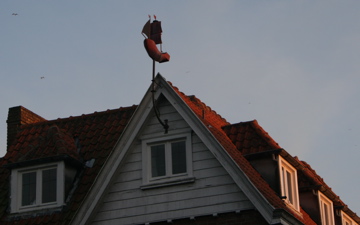 Wind Vane